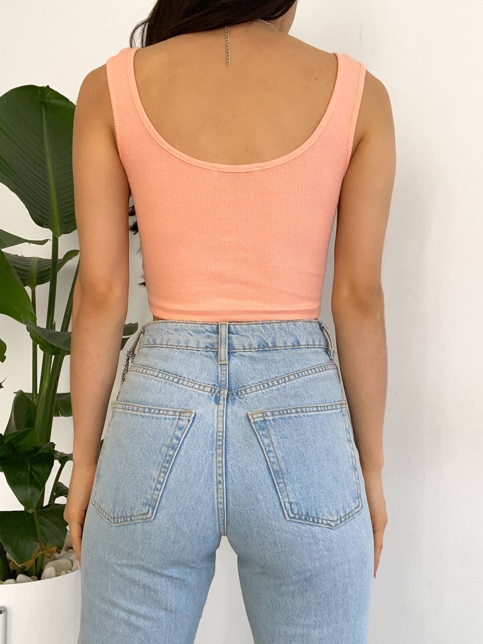 Kaşkorse Crop